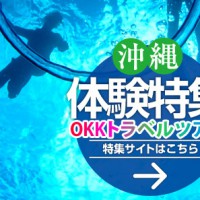 OKKトラベルツアー